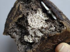 奥利奥飓风-好利来(朝外店)