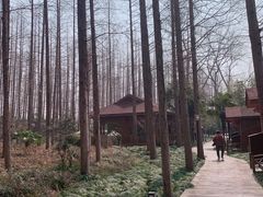 -上海怡沁园度假酒店