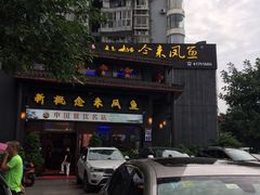-新概念来凤鱼(璧山店)