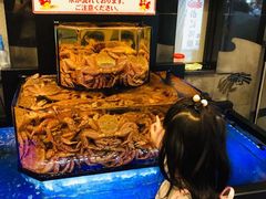 -蟹道乐(道顿堀本店)