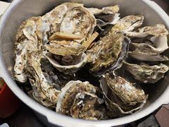 -千岛蚝高压锅生蚝·人参火锅(白云万达店)