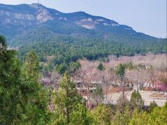 -佛慧山