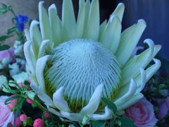 -青岛东方影都融创水世界