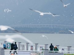 -昆明冠生园·蛋糕·面包(南强街店)