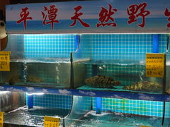 -坛南湾农家乐·海鲜楼·大排档(平潭坛南湾店)