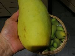 -三亚湾红树林度假世界(木棉酒店)