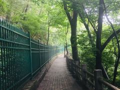 -紫金山天文台