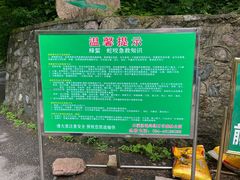 -本溪汤沟绿石谷森林公园