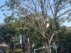 -红烧鱼头·杭帮菜·特色烧烤