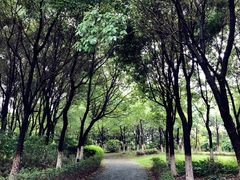 -太阳岛度假酒店