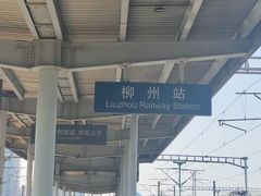 -柳州市动物园