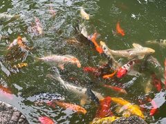 -吴作人艺术馆