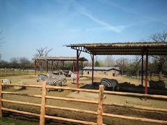 -西安秦岭野生动物园