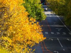 -大连市甘井子区体育场