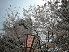-醍醐寺