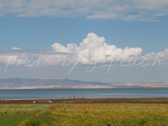 -青海湖国家重点风景名胜区