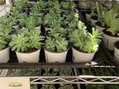 -鹿岛会员店 (龙湖三千集天街店)