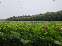 -南戴河国际娱乐中心