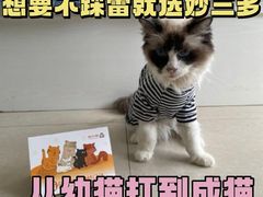 -康旭宠物医院(郑州总院)