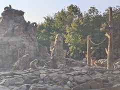 -合肥野生动物园