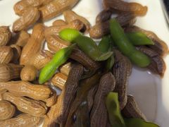 -海拉尔碳烤羊腿烤鸽子(吕营店)