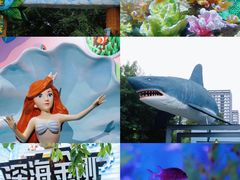 -海合安成都极地海洋公园