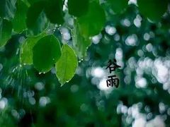 -苏州独墅湖体育馆