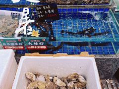 -飞尝蚝·顺德菜·鱼生(顺德总店)