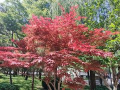 -元大都城垣遗址公园