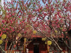 -李叔同故居纪念馆