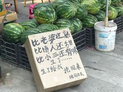 -瑞丽独树成林风景区