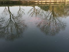 -西湖外事游船(花港观鱼码头)