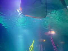 -沈阳海洋探索中心