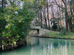-同里国家湿地公园