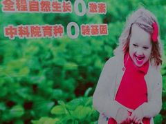 -大自然农场蔬菜草莓采摘园