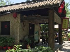 -合肥滨湖国家森林公园