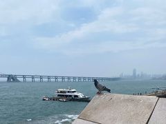 -星海广场