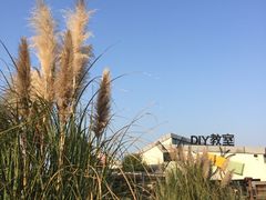 -田园东方蜜桃村的田野营地