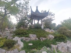 -上海滨江森林公园