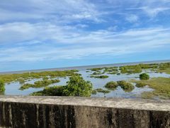 -北海金海湾红树林生态旅游区