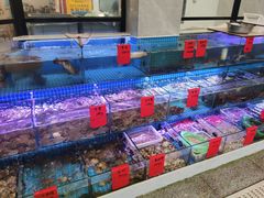 -洲晓鲜·舟山海鲜大排档(朱家尖风景区店)