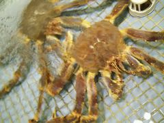 -新海利海鲜城·41年珠海老字号(夏湾店)