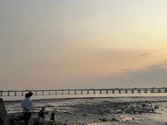 -宝安西湾红树林湿地公园