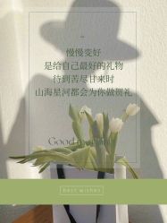 -美肤盾祛痘·问题肌头疗管理中心