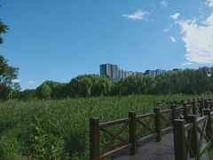 -望湖公园