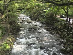 -广州市石门国家森林公园