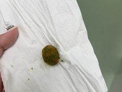 -北京观赏动物医院·24小时大型综合·猫专科·异宠专科