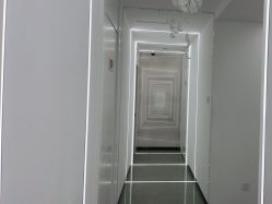 -处女座·MISS VIRGO·半永久纹眉野生眉