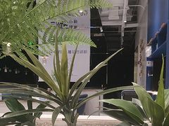 -兰湘子·湘菜小炒(崂山丽达店)