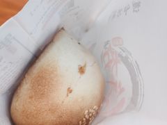 -百年夯碳烤胡椒饼(阿拉城店)